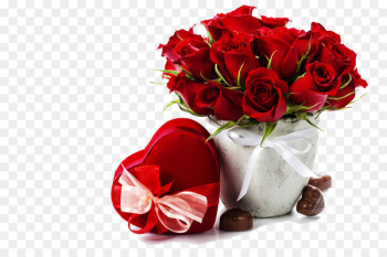 Flower Rose Red stock.xchng - Romantic Gift Flower Rose Red stock.xchng - Romantic Gift