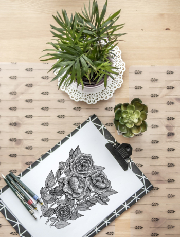 Flower Sketch Near Succulent Plant Flower Sketch Near Succulent Plant