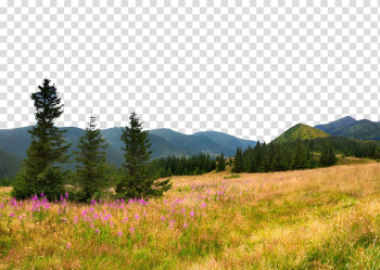 Flower Sky Cloud Mountain Tree, Autumn realistic realistic field poster design transparent background PNG clipart