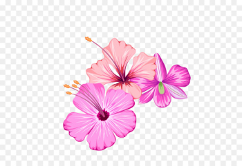 Flower - Small fresh summer flowers Flower - Small fresh summer flowers