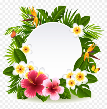 Flower Stock Photography Clip Art - Frame Tropical Png