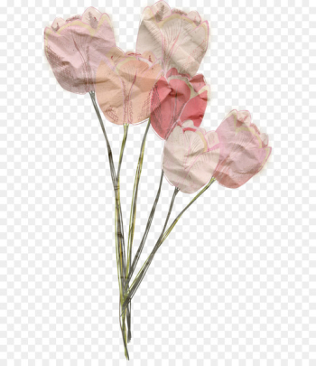 Flower Textile Image Garden roses Creativity - vintage flower 