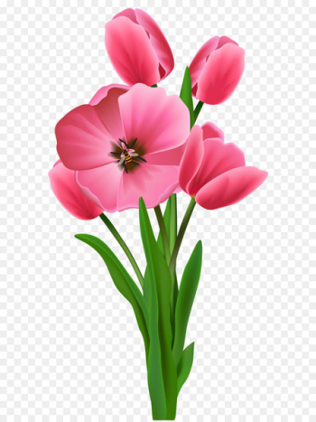 Flower Varuthini Ekadashi Clip art - Tulips Transparent PNG Image 