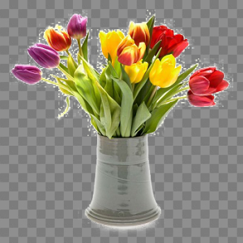 Flower Vase Transparent Image