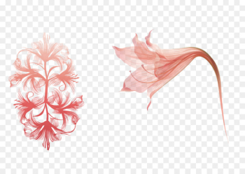 Flower - Vector material Flower Bouquet Flower - Vector material Flower Bouquet