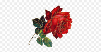 Flower Victorian Era Bokmxe4rke Antique - Flower Victorian Era Bokmxe4rke Antique Flower Victorian Era Bokmxe4rke Antique - Flower Victorian Era Bokmxe4rke Antique
