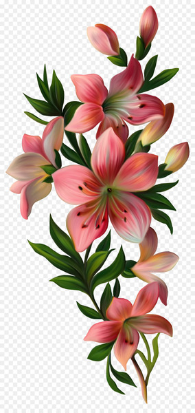 Flower Vintage clothing Clip art - lily Flower Vintage clothing Clip art - lily
