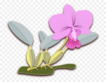 flower violet plant petal clip art flower violet plant petal clip art