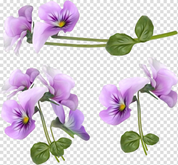 Flower Violet , Purple orchid decorative frame transparent background PNG clipart