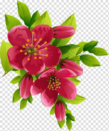 Flower , Watercolor flowers transparent background PNG clipart