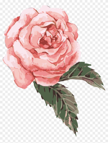Flower Watercolor Painting Clip Art - Pink Watercolor Rose Png Flower Watercolor Painting Clip Art - Pink Watercolor Rose Png