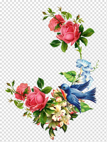Flower Watercolor painting Decoupage Rose , conch transparent background PNG clipart Flower Watercolor painting Decoupage Rose , conch transparent background PNG clipart