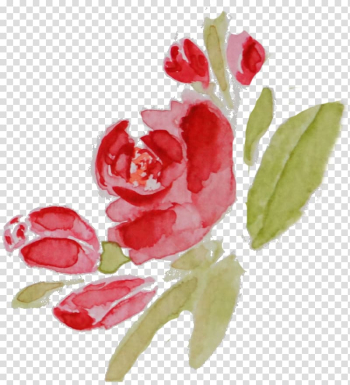 Flower Watercolor painting Drawing, rose watercolor transparent background PNG clipart