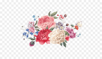 Flower Watercolor painting Illustration - Chinese wind peony vector 