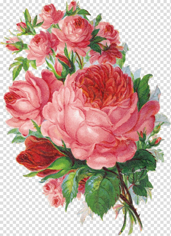 Flower Watercolor painting Rose, Watercolor roses transparent background PNG clipart Flower Watercolor painting Rose, Watercolor roses transparent background PNG clipart