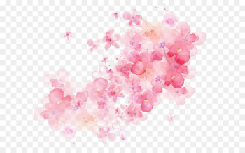 Flower Watercolor painting - Watercolor flowers shading Flower Watercolor painting - Watercolor flowers shading