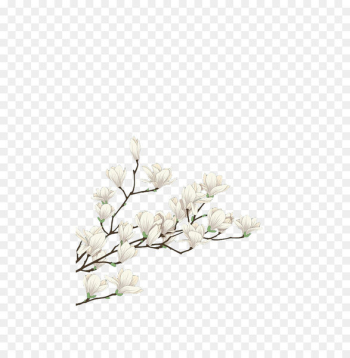 Flower White Computer file - White flowers 