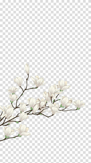 Flower White Computer file, White flowers, white cherry blossom transparent background PNG clipart