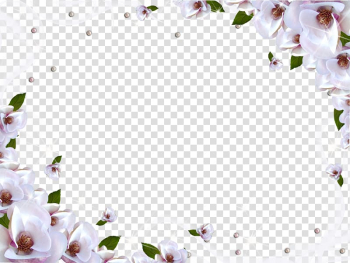 Flower , White Flower Frame transparent background PNG clipart