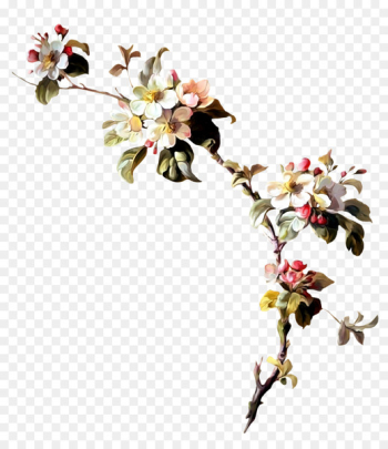 Flower Wreath Clip art - Peach blossom Flower Wreath Clip art - Peach blossom