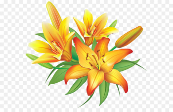 Flower Yellow Clip art - Yellow Lilies Flowers Decoration PNG Clipart Image 