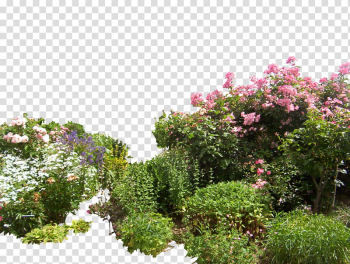 Flowered garden , flower garden art transparent background PNG clipart Flowered garden , flower garden art transparent background PNG clipart