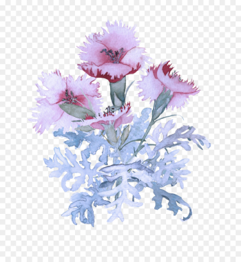 flowering plant flower pink plant cut flowers flowering plant flower pink plant cut flowers