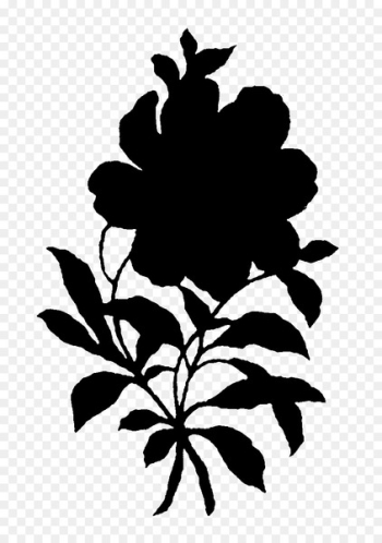 Flowering plant Plant stem Leaf Silhouette - Flowering plant Plant stem Leaf Silhouette -