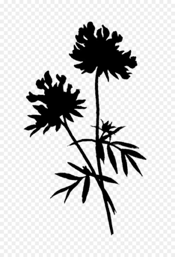 Flowering plant Plant stem Leaf Silhouette - Flowering plant Plant stem Leaf Silhouette -