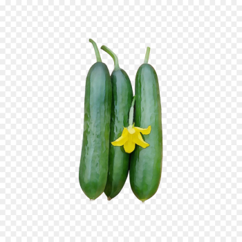 flowering plant plant vegetable bell peppers and chili peppers yellow flowering plant plant vegetable bell peppers and chili peppers yellow