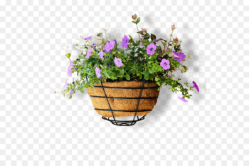 Flowerpot Computer file - Full of small purple flower pot 