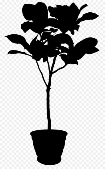 Flowerpot Euclidean vector Masseter muscle Lateral pterygoid muscle -  