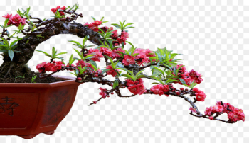 Flowerpot Layue Month Calendar Flowering plant - Flowerpot Layue Month Calendar Flowering plant -