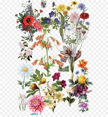 Flowers Flowers