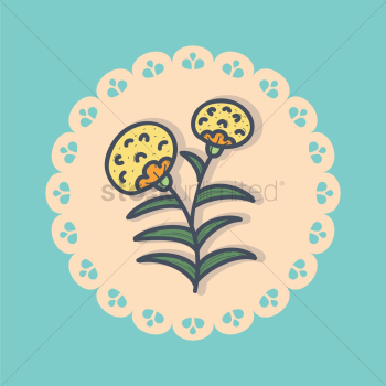 Flowers Flowers
