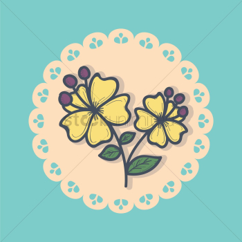 Flowers Flowers