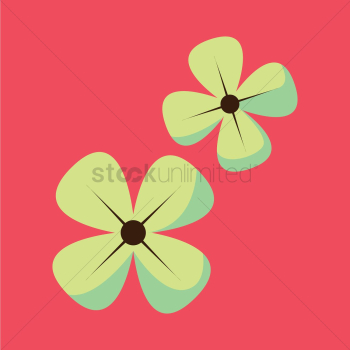 Flowers Flowers