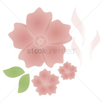Flowers Flowers