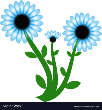 flowers flowers