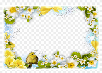 Flowers And Birds - Birds And Flowers Borders Flowers And Birds - Birds And Flowers Borders