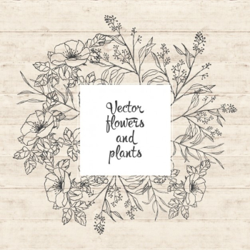 Flowers and plants design Flowers and plants design