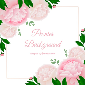Flowers background with peonies Flowers background with peonies