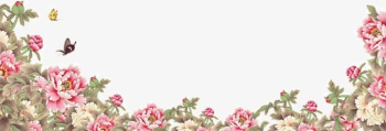Flowers Border PNG, Clipart, Border Clipart, Flowers, Flowers ...