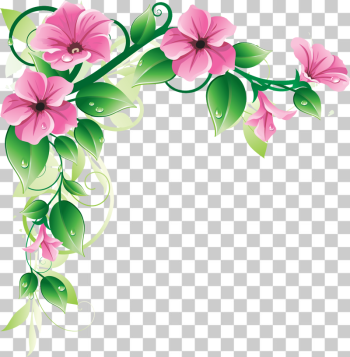 flowers borders Floral Design PNG