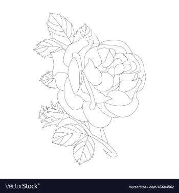 flowers bouquet coloring book page flowers bouquet coloring book page