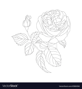 flowers bouquet coloring book page flowers bouquet coloring book page