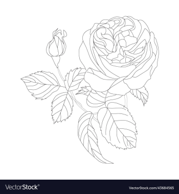 flowers bouquet coloring book page flowers bouquet coloring book page