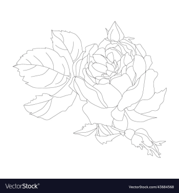 flowers bouquet coloring book page flowers bouquet coloring book page