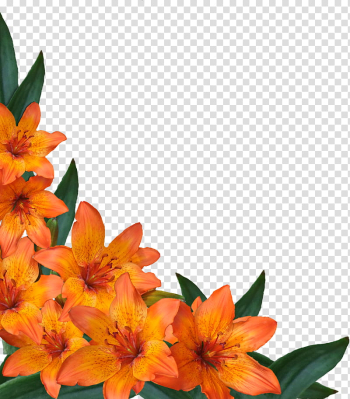 Flowers corners, orange flower frames transparent background PNG clipart