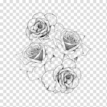 Flowers Draw ByunCamis, gray roses illustration transparent background PNG clipart